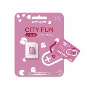 USB HIKSEMI City Fun 256 Go